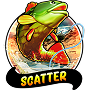 Scatter